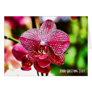 Härligt Orchidhälsningkort Hälsningskort