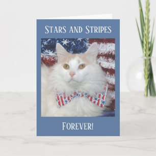 Härligt patriotiskt kort för vit- och orangekatt