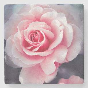 Härligt rosa rosblommigtfoto underlägg sten