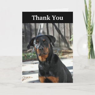 Härligt Rottweiler tackkort