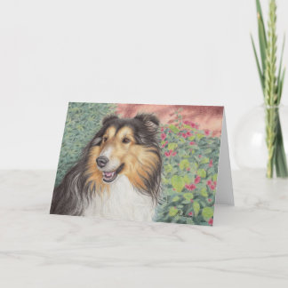 Härligt Sheltie kort