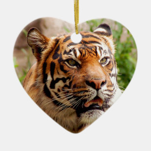 Härligt tigeransikte julgransprydnad keramik