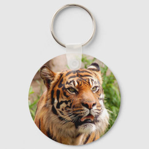 Härligt tigeransikte nyckelring