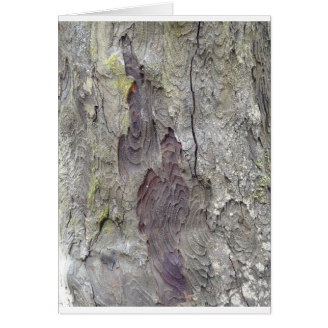 Härligt träd hälsningskort (Framsidan)