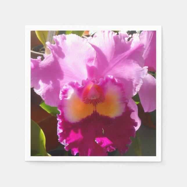 Harlinde Pappersservett (Framsidan)