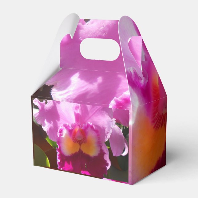 Harlinde Presentaskar (Baksidan Sidan)