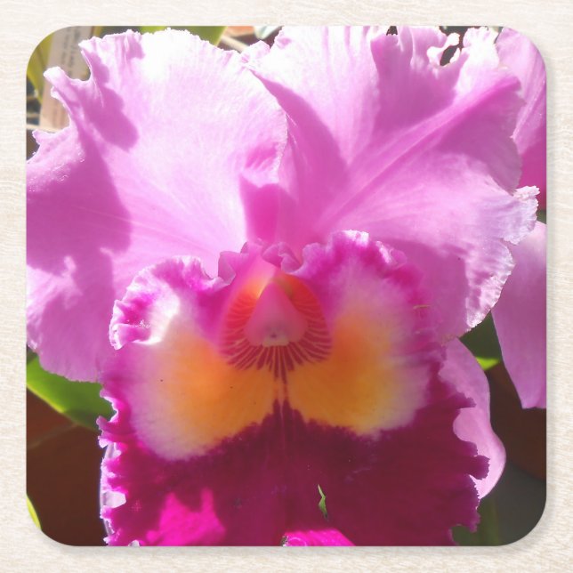 Harlinde Underlägg Papper Kvadrat (Framsidan)