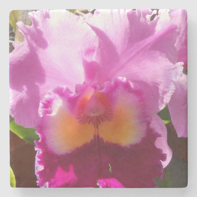 Harlinde Underlägg Sten (Framsidan)