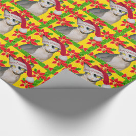 Hårlös helgdag för jul för Sphynx kattSanta hatt Presentpapper