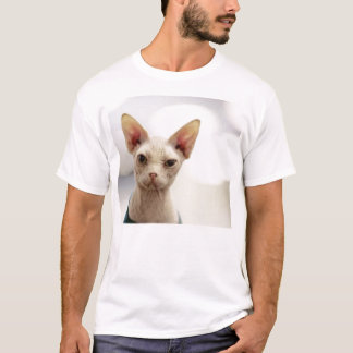hårlös kattunge t shirt