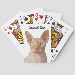 Hårlös sfärx Cat Casinokort