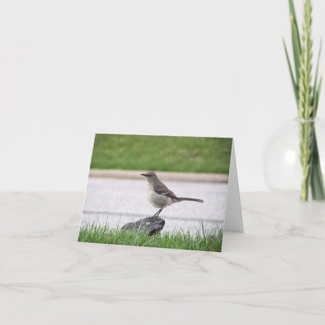 Härmfågel Kort (Framsida)