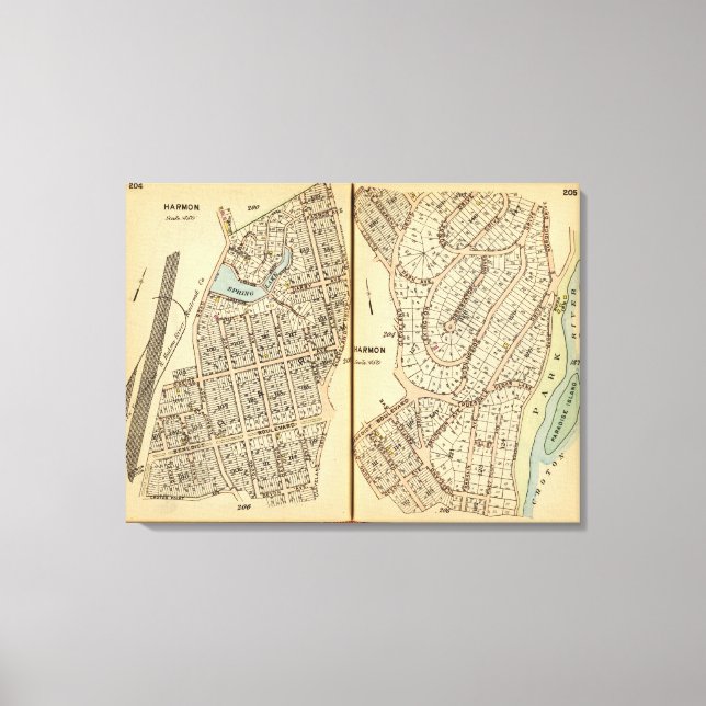 Harmon Park, New York 2 Canvastryck (Framsida)