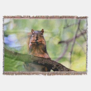 Harmonica squirrel filt