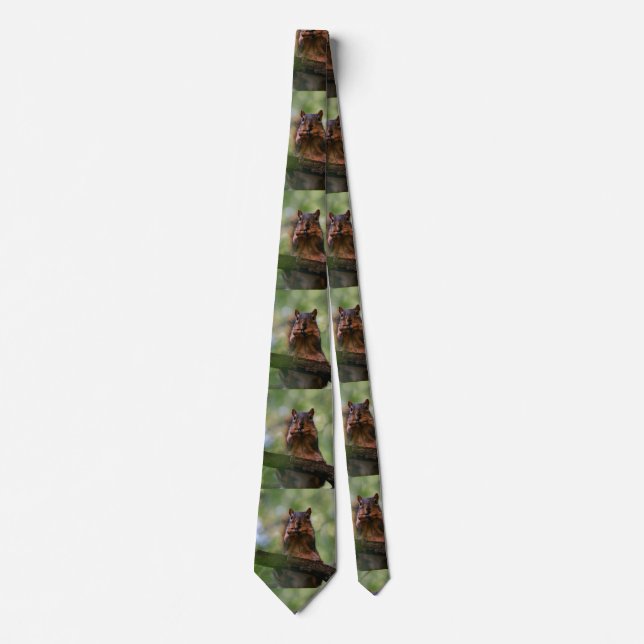 Harmonica Squirrel Tie Slips (Framsida)