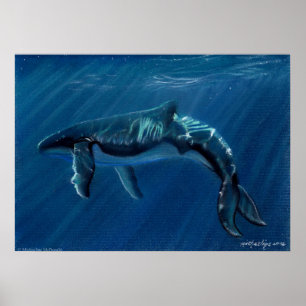 Harmonious Humpback Whale Kanvastryck Poster