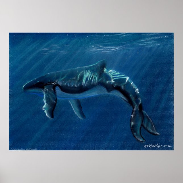 Harmonious Humpback Whale Kanvastryck Poster (Framsidan)