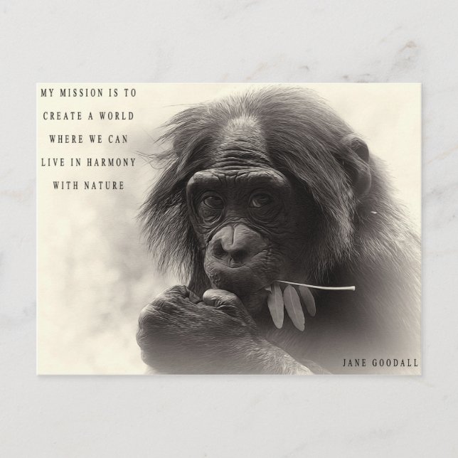 Harmonisering med naturen vykort (Framsida)