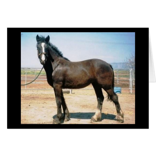 Harmony Hälsningskort (Framsidan Horizontal)