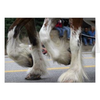 Harmony Hälsningskort