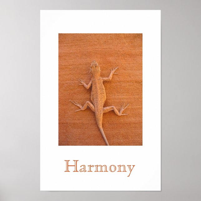 Harmony Poster (Framsidan)