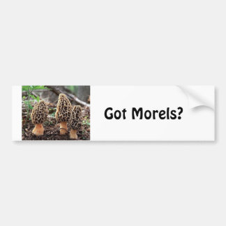 HarMorels? Bildekal