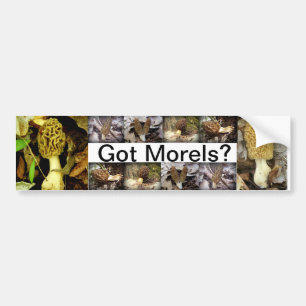 HarMorels? Champinjonbildekal Bildekal