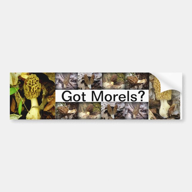 HarMorels? Champinjonbildekal Bildekal (Framsidan)