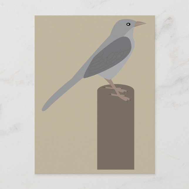 Härmtrast Vykort (Framsida)