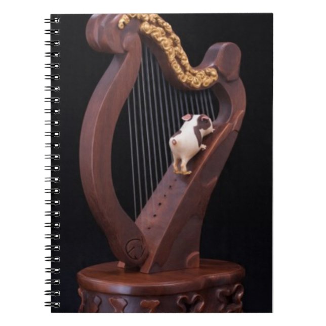 Harp & Mini Explorer Notebook Anteckningsbok (Framsidan)