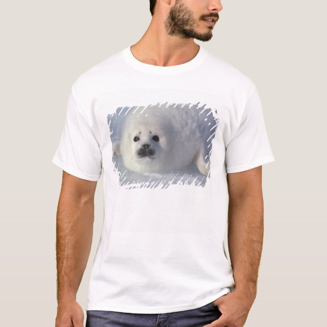 Harp-säl (Phoca groenlandica) T-shirt (Framsida)