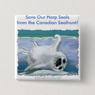 HARP SEAL BABY KNAPP
