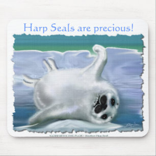HARP SEAL BABY MUSMATTA