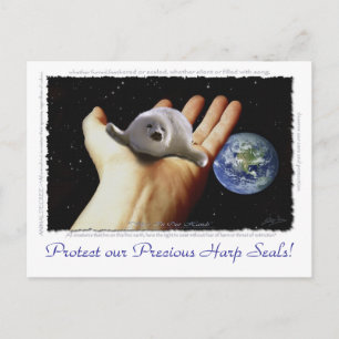 HARP SEAL Earth Day Postcards Vykort