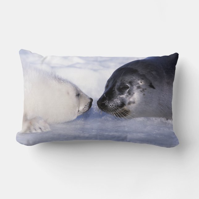 Harp Seal Mor med Valp Lumbarkudde (Framsida)