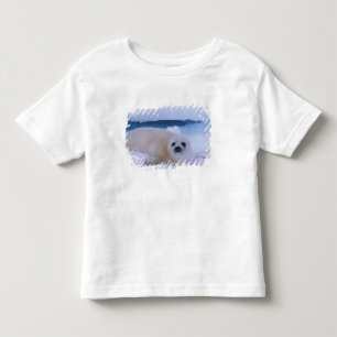 Harp Seal North America, Kanada, Quebec Tee
