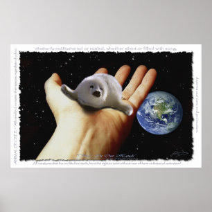 HARP SEAL Protection Earth Day Art Poster
