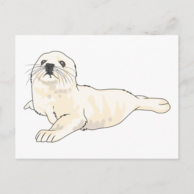 Harp Seal Valp Vykort (Framsida)