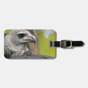 Harpy Eagle 1.JPG Bagagebricka