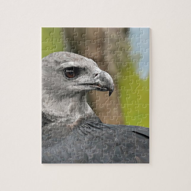 Harpy Eagle 1.JPG Pussel (Vertikal)
