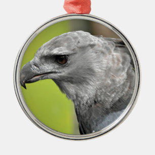 Harpy Eagle 2.JPG Julgransprydnad Metall