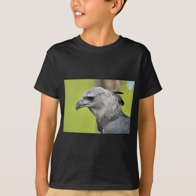 Harpy Eagle 2.JPG Tee Shirt (Framsida)