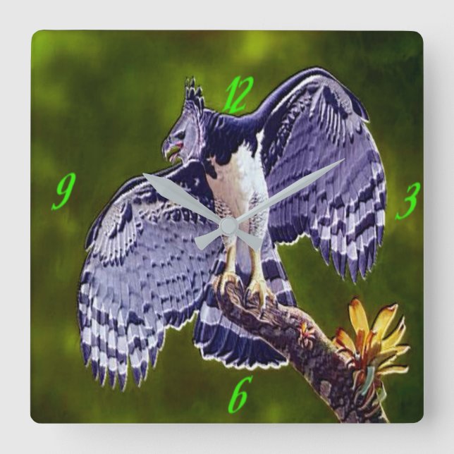 "Harpy Eagle" Acrylic Wall Clock Fyrkantig Klocka (Framsida)