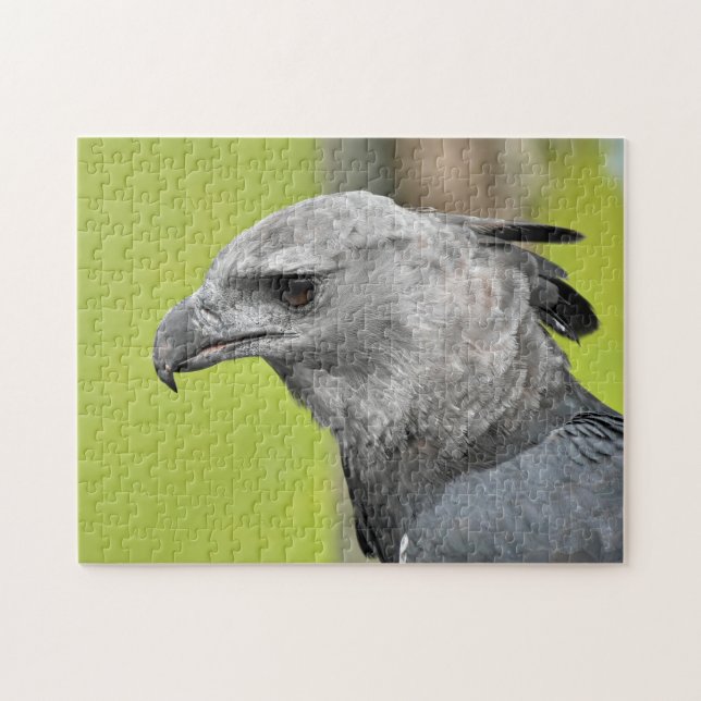 Harpy Eagle Jigszle Leksak Puzzle Pussel (Horisontell)