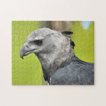 Harpy Eagle Jigszle Puzzle