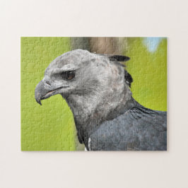 Harpy Eagle Jigszle Puzzle Pussel