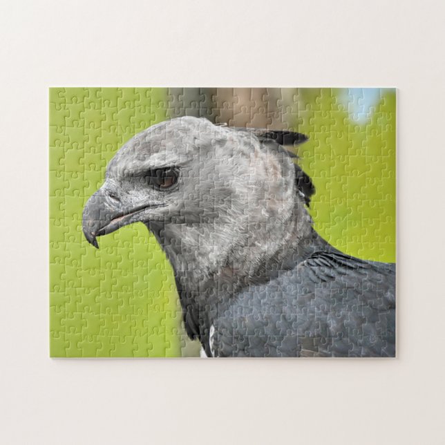 Harpy Eagle Jigszle Puzzle Pussel (Horisontell)