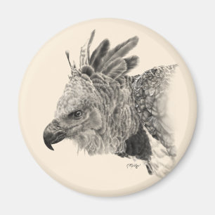 Harpy Eagle Teckning Magnet