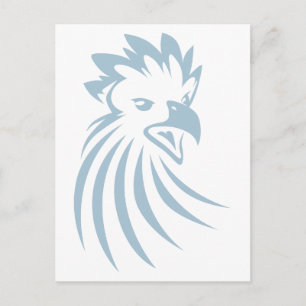 Harpy Eagle Vykort