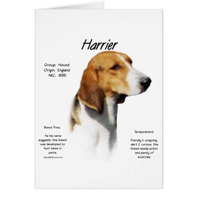 Harrier-historikdesign Hälsningskort (Framsidan)